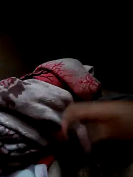 Snapshot of rolagrossa19@xh chatting on 25, 2, 2026 rolagrossa19xh online show from 25, 2, 2026