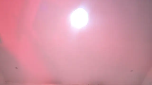 amber demons2021 online show from 27, 11, 2025