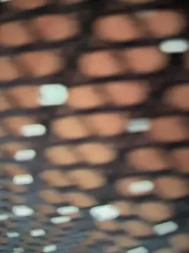 Snapshot of Rose-euphoria chatting on 5, 11, 2025 Rose-euphoria online show from 5, 11, 2025