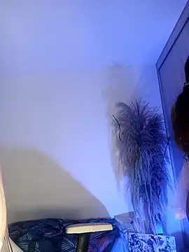 lovely kitt online show from 28, 11, 2025