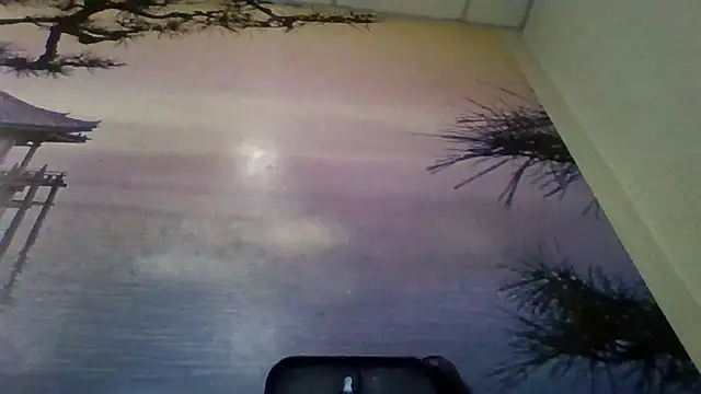 Snapshot of AliceTailor chatting on 2, 2, 2026 AliceTailor online show from 2, 2, 2026