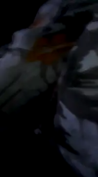 Bite spectaculaire online show from 3, 2, 2025