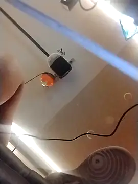 halobabe7620 online show from 14, 10, 2025