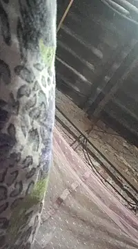 Snapshot of HotSexyBoudi chatting on 21, 12, 2024 HotSexyBoudi online show from 21, 12, 2024