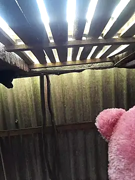 Snapshot of HotSexyBoudi chatting on 25, 9, 2025 HotSexyBoudi online show from 25, 9, 2025