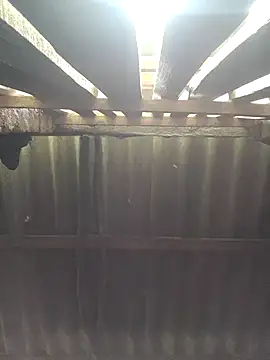 Snapshot of HotSexyBoudi chatting on 5, 10, 2025 HotSexyBoudi online show from 5, 10, 2025