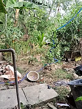 HotSexyBoudi online show from 18, 4, 2026