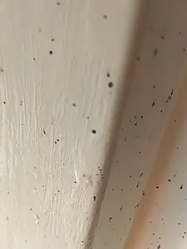 camila picante online show from 4, 4, 2026