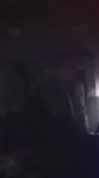 Snapshot of WilldoPita chatting on 21, 1, 2025 WilldoPita online show from 21, 1, 2025