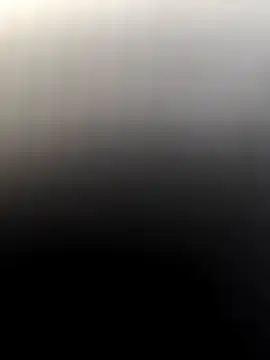 Rikipollav online show from 8, 3, 2026