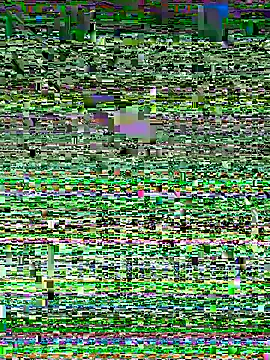 Snehameowwxh online show from 21, 11, 2025