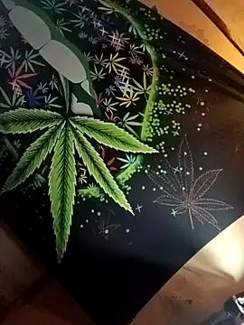 ySqmbVanbe online show from 19, 2, 2026