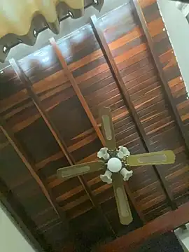 tom thick online show from 20, 1, 2025