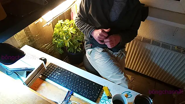 Snapshot of BongChannel chatting on 13, 1, 2025 BongChannel online show from 13, 1, 2025