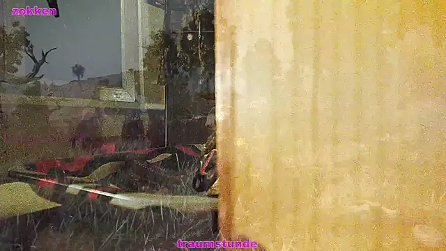 Snapshot of BongChannel chatting on 21, 1, 2025 BongChannel online show from 21, 1, 2025