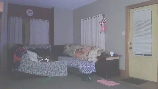 Smurfschmidt online show from 13, 3, 2026