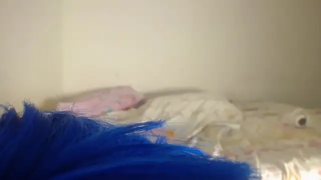 Snapshot of barbara_anal_squirt_ chatting on 16, 5, 2026 barbara anal squirt online show from 16, 5, 2026