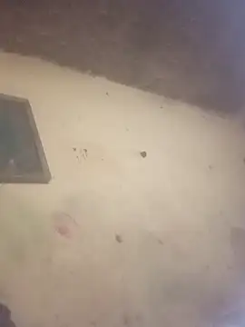 Snapshot of sexlockoxxx chatting on 11, 1, 2026 sexlockoxxx online show from 11, 1, 2026