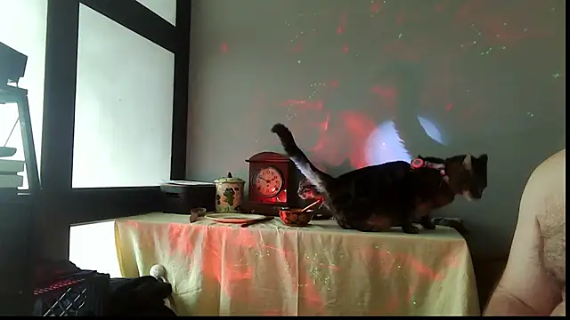 SexWorkerX online show from 20, 12, 2025