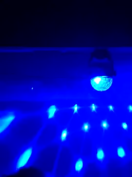 Snapshot of AmazonianMistress chatting on 16, 2, 2025 AmazonianMistress online show from 16, 2, 2025