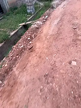 Black-mamba-madingo online show from 10, 9, 2025