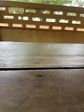 Black-mamba-madingo online show from 29, 9, 2025