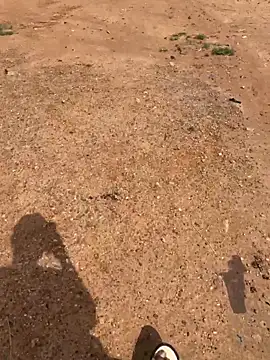 Black-mamba-madingo online show from 28, 3, 2026