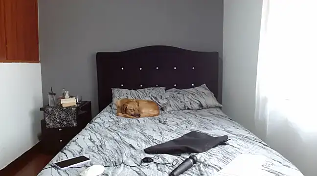 Emilia 1995 online show from 10, 2, 2025