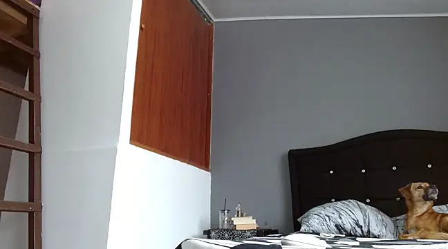 Emilia 1995 online show from 16, 3, 2025