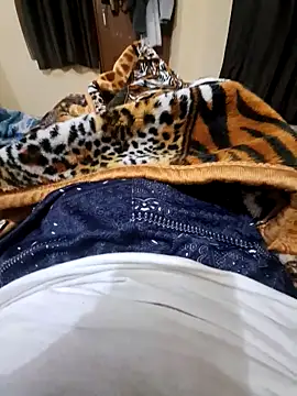 villagb12 online show from 25, 12, 2024