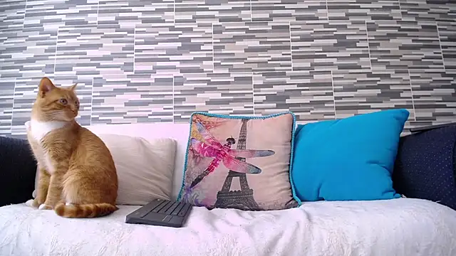 Snapshot of VioletaGomezCo chatting on 5, 11, 2025 VioletaGomezCo online show from 5, 11, 2025