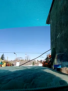 puak6666 online show from 11, 9, 2025