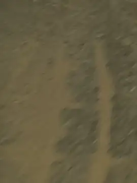 NIAN-er online show from 16, 7, 2026