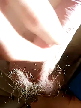 Snapshot of NudeYogaBoy chatting on 7, 1, 2025 NudeYogaBoy online show from 7, 1, 2025