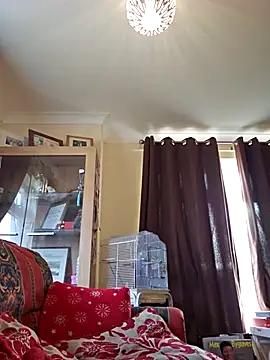 Snapshot of meateater1 chatting on 20, 11, 2025 meateater1 online show from 20, 11, 2025