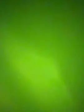 nene fun online show from 31, 1, 2026