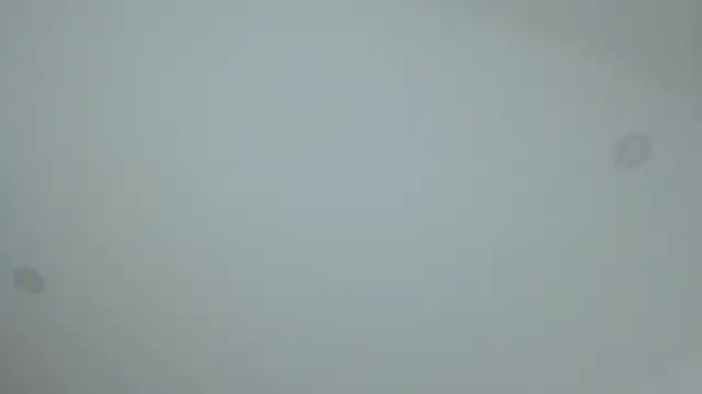 dollface17 online show from 30, 1, 2025