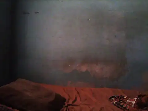 Snapshot of little__joy chatting on 5, 11, 2025 little joy online show from 5, 11, 2025