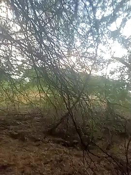 lovesuna online show from 30, 9, 2025