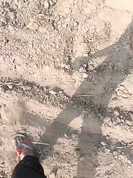 lovesuna online show from 6, 11, 2025