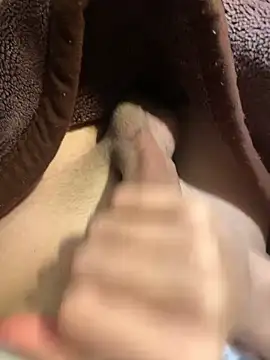 Gengista88 online show from 14, 2, 2026