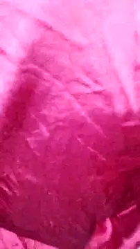 Snapshot of Kitty_Doll69 chatting on 4, 11, 2025 Kitty Doll69 online show from 4, 11, 2025