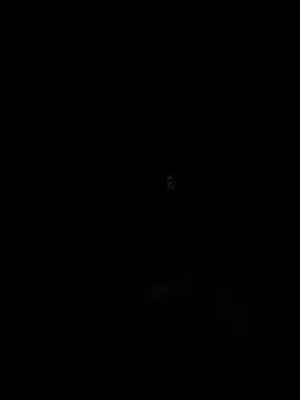 emea4 online show from 19, 12, 2025