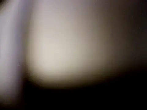 Snapshot of Mic_Oxinner chatting on 7, 12, 2024 Mic Oxinner online show from 7, 12, 2024