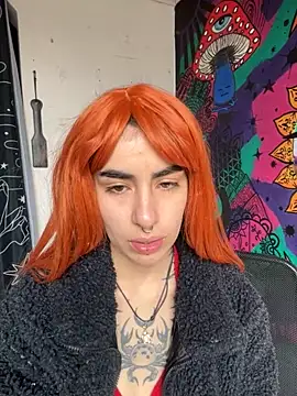  Artemisa X online show from 5, 11, 2025