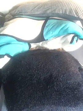 Snapshot of sexy_barbie254 chatting on 2, 3, 2025 sexy barbie254 online show from 2, 3, 2025