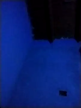 pmalvado912 online show from 28, 3, 2026