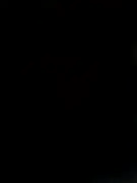 News3xxh online show from 17, 12, 2025