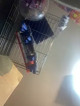 baruel-10 online show from 5, 3, 2025