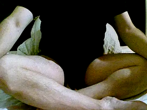 Snapshot of pollarikaaa chatting on 2, 12, 2024 pollarikaaa online show from 2, 12, 2024